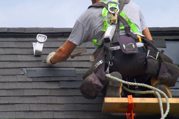 Best Metal Roofing Installation  in Griggsvle, IL