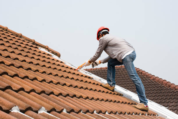 Best Roof Moss and Algae Removal  in Griggsvle, IL